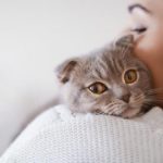 10 raisons d'adopter un chat