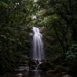 réserves naturelles en Afrique