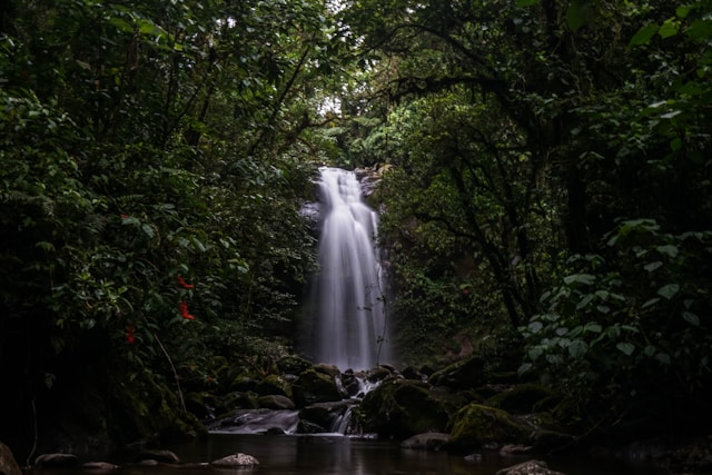 réserves naturelles en Afrique