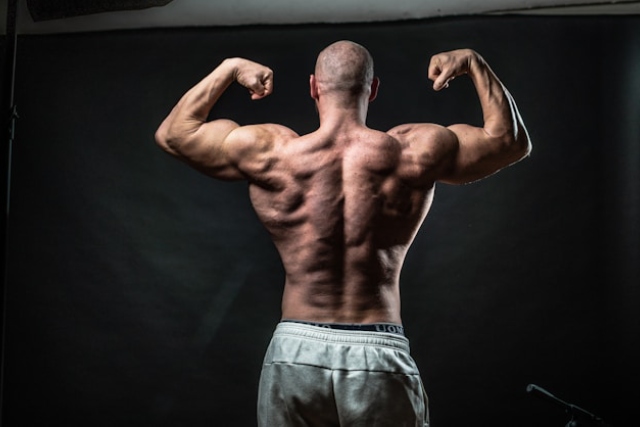 Bodybuilding pour débutants