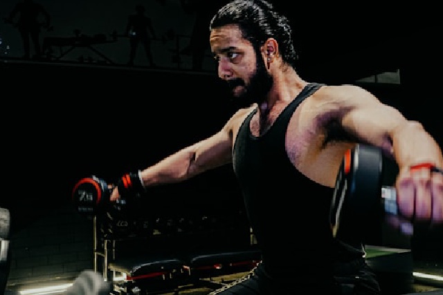 Programmes de musculation