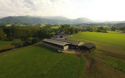 Erreurs à éviter portier automatique poule