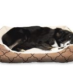 Chien noir dans un lit de chien beige